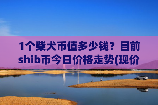 1个柴犬币值多少钱？目前shib币今日价格走势(现价0.00016099元)