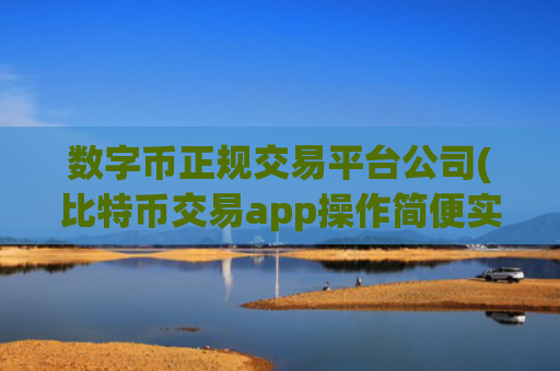 数字币正规交易平台公司(比特币交易app操作简便实用)
