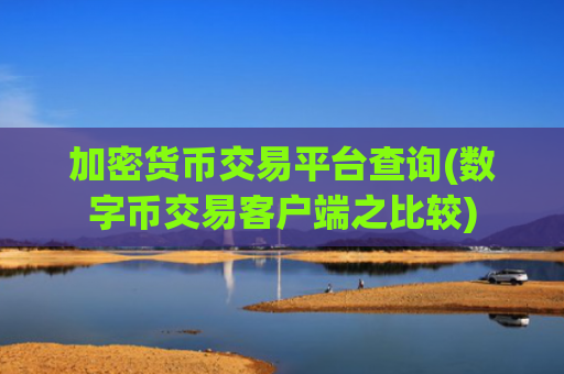 加密货币交易平台查询(数字币交易客户端之比较)
