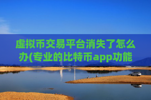 虚拟币交易平台消失了怎么办(专业的比特币app功能强大)