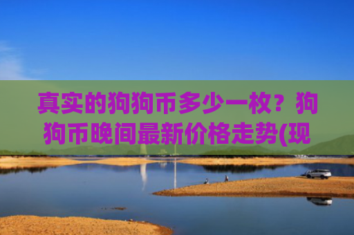 真实的狗狗币多少一枚?狗狗币晚间最新价格走势(现价2.4451元)