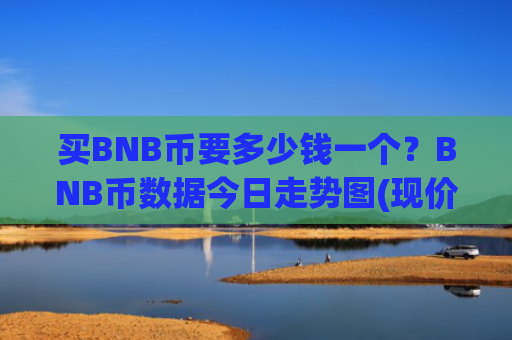买BNB币要多少钱一个?BNB币数据今日走势图(现价4907.89元)