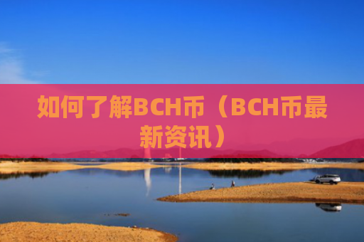 如何了解BCH币(BCH币最新资讯)