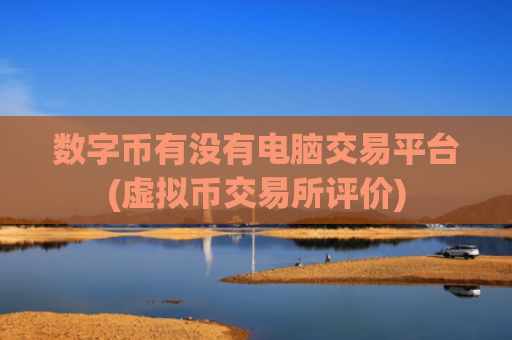 数字币有没有电脑交易平台(虚拟币交易所评价)