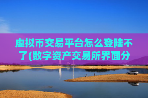 虚拟币交易平台怎么登陆不了(数字资产交易所界面分析)