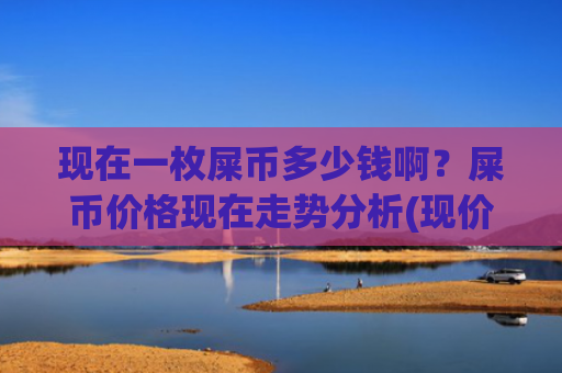 现在一枚屎币多少钱啊？屎币价格现在走势分析(现价0.00016989元)