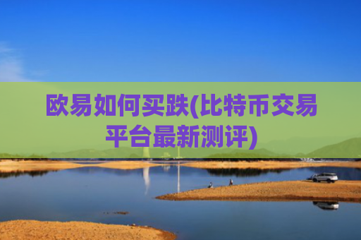 欧易如何买跌(比特币交易平台最新测评)