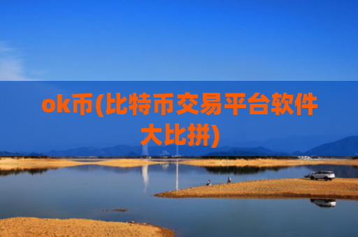 ok币(比特币交易平台软件大比拼)