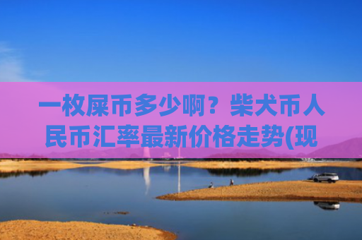 一枚屎币多少啊？柴犬币人民币汇率最新价格走势(现价0.00016733元)