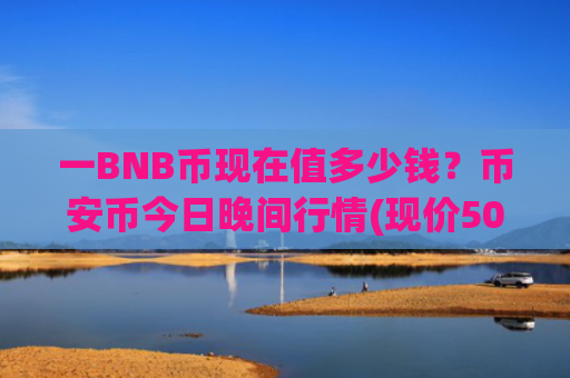 一BNB币现在值多少钱？币安币今日晚间行情(现价5010.23元)