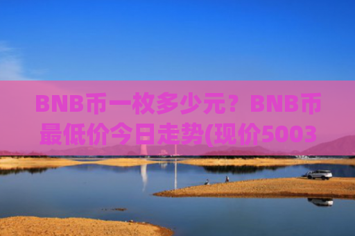BNB币一枚多少元？BNB币最低价今日走势(现价5003.16元)
