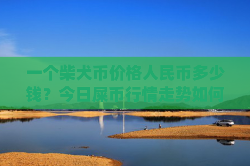 一个柴犬币价格人民币多少钱？今日屎币行情走势如何(现价0.00016726元)