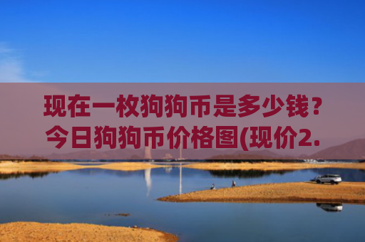 现在一枚狗狗币是多少钱？今日狗狗币价格图(现价2.3646元)