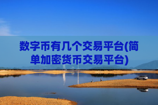 数字币有几个交易平台(简单加密货币交易平台)