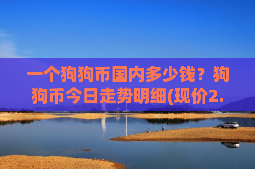 一个狗狗币国内多少钱？狗狗币今日走势明细(现价2.3662元)