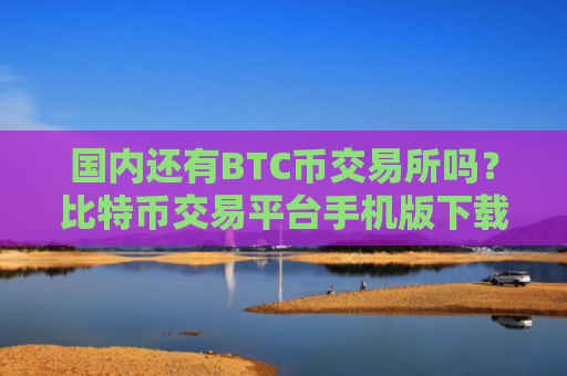 国内还有BTC币交易所吗？比特币交易平台手机版下载