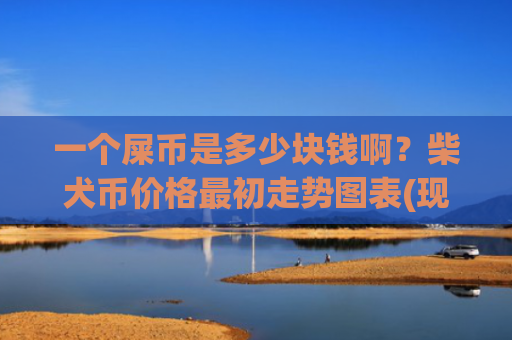 一个屎币是多少块钱啊？柴犬币价格最初走势图表(现价0.00016478元)