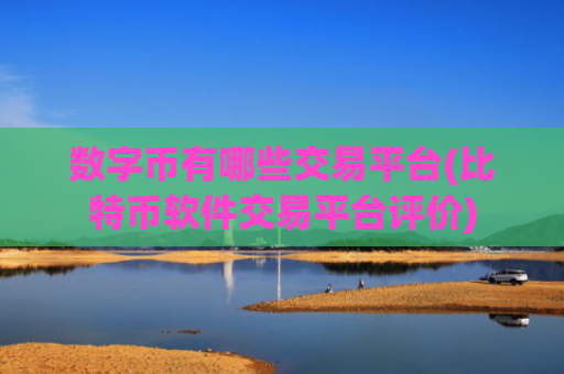数字币有哪些交易平台(比特币软件交易平台评价)