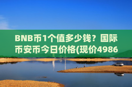 BNB币1个值多少钱？国际币安币今日价格(现价4986.74元)
