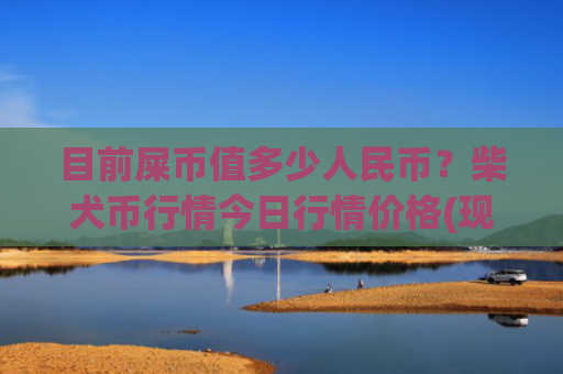 目前屎币值多少人民币？柴犬币行情今日行情价格(现价0.00016784元)