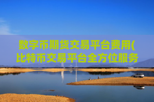 数字币期货交易平台费用(比特币交易平台全方位服务)