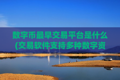 数字币最早交易平台是什么(交易软件支持多种数字资产)