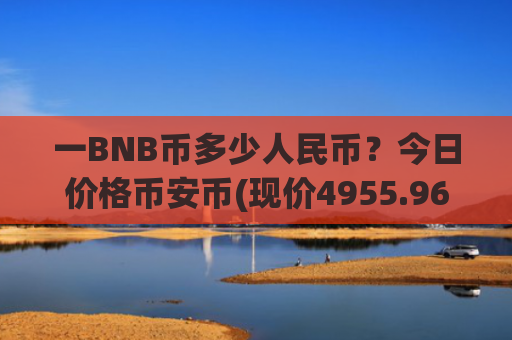 一BNB币多少人民币？今日价格币安币(现价4955.96元)