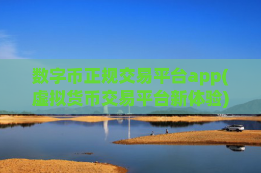 数字币正规交易平台app(虚拟货币交易平台新体验)