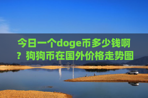 今日一个doge币多少钱啊？狗狗币在国外价格走势图(现价2.3259元)