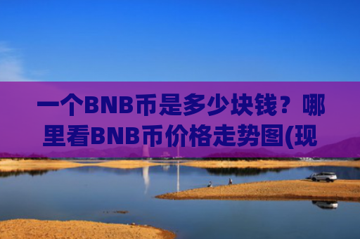 一个BNB币是多少块钱？哪里看BNB币价格走势图(现价4947.5元)