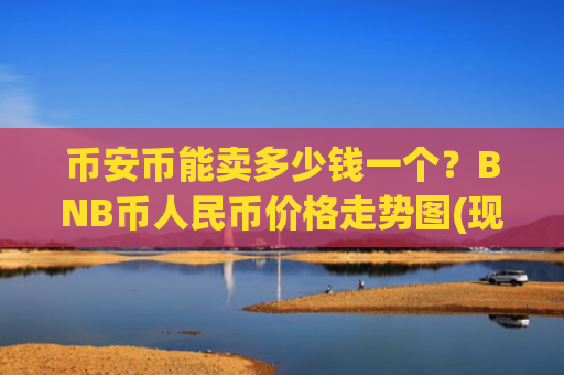 币安币能卖多少钱一个？BNB币人民币价格走势图(现价4938.38元)