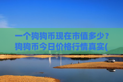 一个狗狗币现在市值多少？狗狗币今日价格行情真实(现价2.3119元)