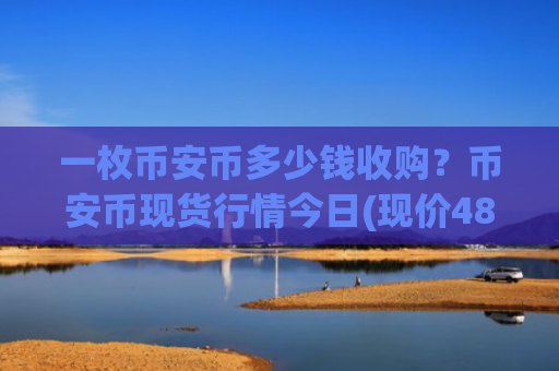 一枚币安币多少钱收购？币安币现货行情今日(现价4890.02元)