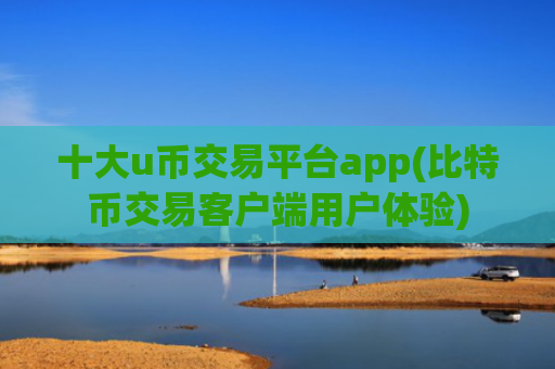 十大u币交易平台app(比特币交易客户端用户体验)
