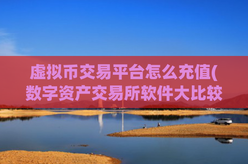 虚拟币交易平台怎么充值(数字资产交易所软件大比较)