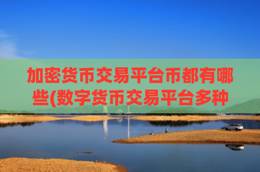 加密货币交易平台币都有哪些(数字货币交易平台多种交易模式)