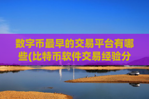 数字币最早的交易平台有哪些(比特币软件交易经验分享)