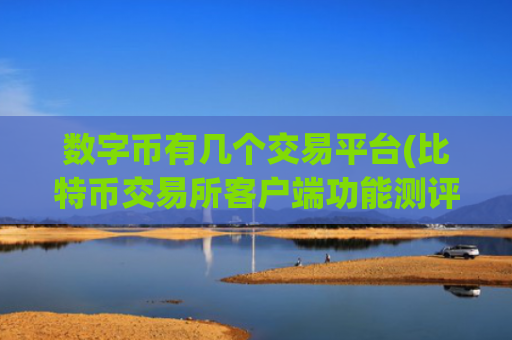 数字币有几个交易平台(比特币交易所客户端功能测评)