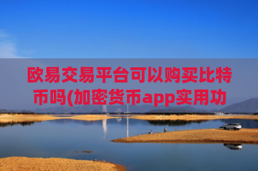 欧易交易平台可以购买比特币吗(加密货币app实用功能解析)