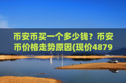 币安币买一个多少钱？币安币价格走势原因(现价4879.74元)