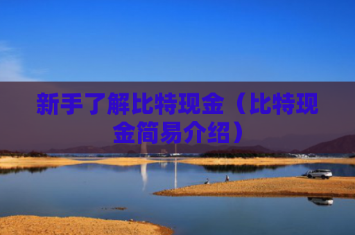 新手了解比特现金（比特现金简易介绍）