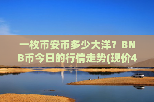 一枚币安币多少大洋？BNB币今日的行情走势(现价4884.5元)