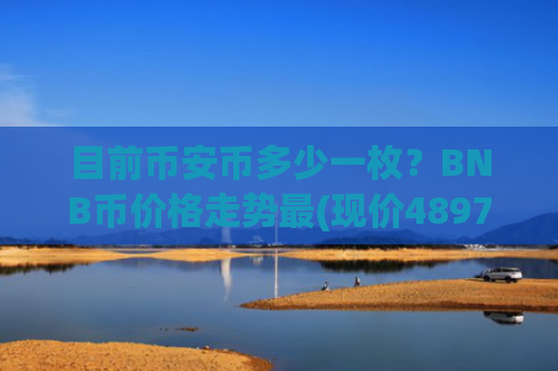 目前币安币多少一枚？BNB币价格走势最(现价4897.04元)