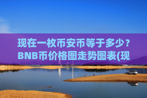 现在一枚币安币等于多少？BNB币价格图走势图表(现价4738.5元)