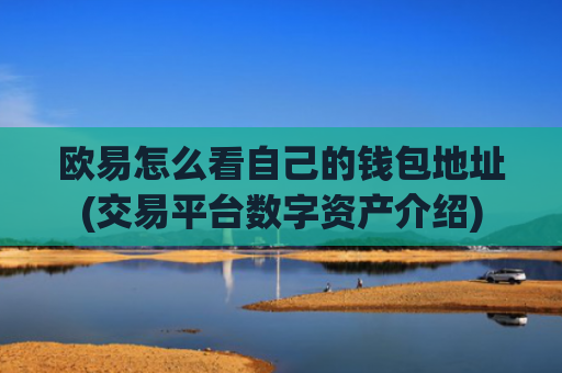 欧易怎么看自己的钱包地址(交易平台数字资产介绍)