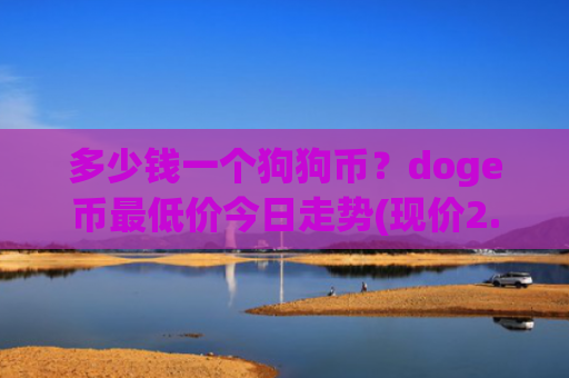 多少钱一个狗狗币？doge币最低价今日走势(现价2.1707元)