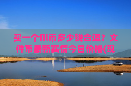 买一个fil币多少钱合适？文件币最新实情今日价格(现价34.3981元)