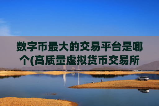 数字币最大的交易平台是哪个(高质量虚拟货币交易所)