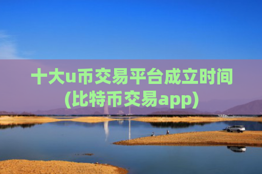 十大u币交易平台成立时间(比特币交易app)