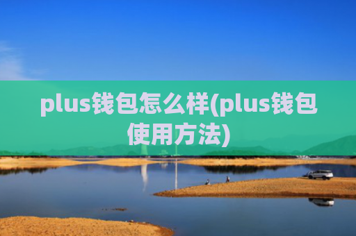 plus钱包怎么样(plus钱包使用方法)
